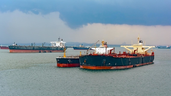 SGS να επιπλεύσει πιστοποιητικών υπεράσπιση 2.0X3.5m πνευματικό λαστιχένιο κιγκλίδωμα