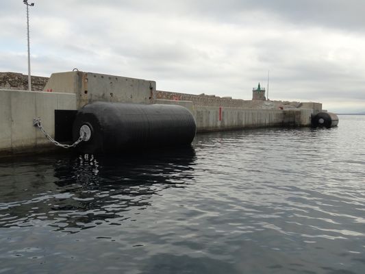 Προσαρμοσμένο επιπλέον γεμισμένο αφρός κιγκλίδωμα με τη ρόδα και την αλυσίδα