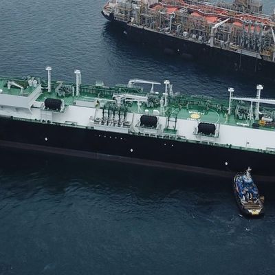 Θαλάσσιος λαστιχένιος προφυλακτήρας φλαντζών 80Kpa ABS Q235 για τους μεταφορείς αερίου που ελλιμενίζουν τον προφυλακτήρα