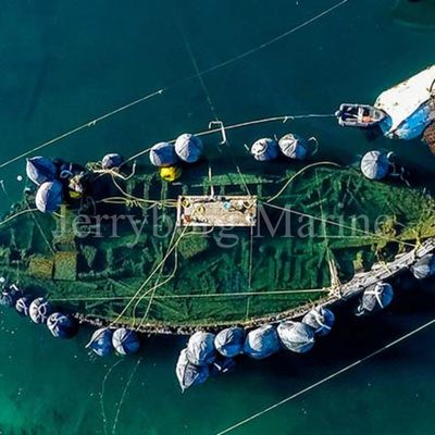Πνευματικό λαστιχένιο κιγκλίδωμα σκαφών φυσικού λάστιχου Yokohama κιγκλιδωμάτων που κατασκευάζεται στην Κίνα